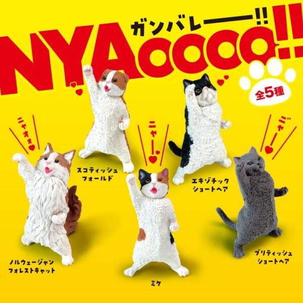 NYAoooo!! Cats BLIND BOX