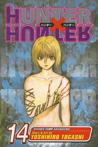 Manga: Hunter X Hunter, Vol. 14