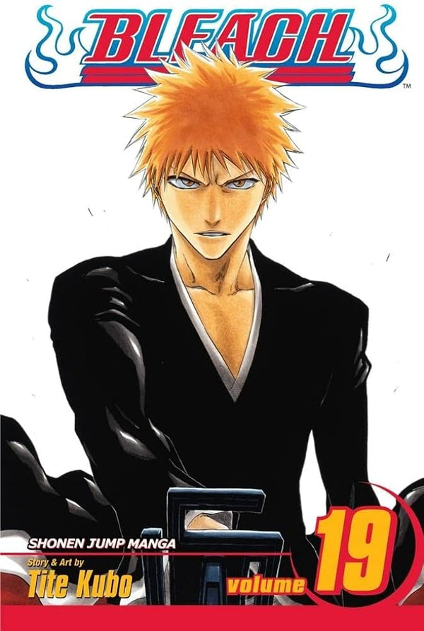 Manga: Bleach : Volume 19