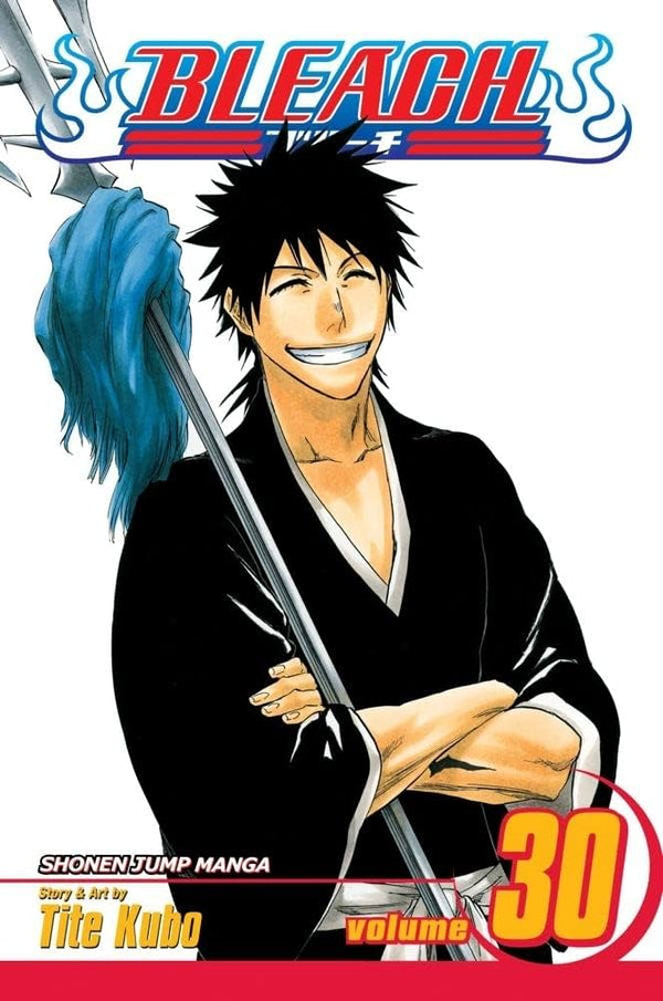 Manga: Bleach : Volume 30