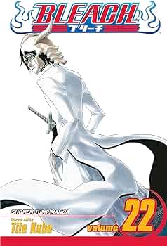 Manga: Bleach : Volume 22