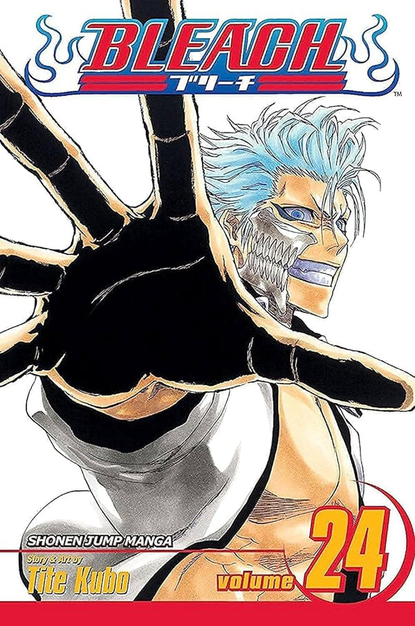 Manga: Bleach : Volume 24