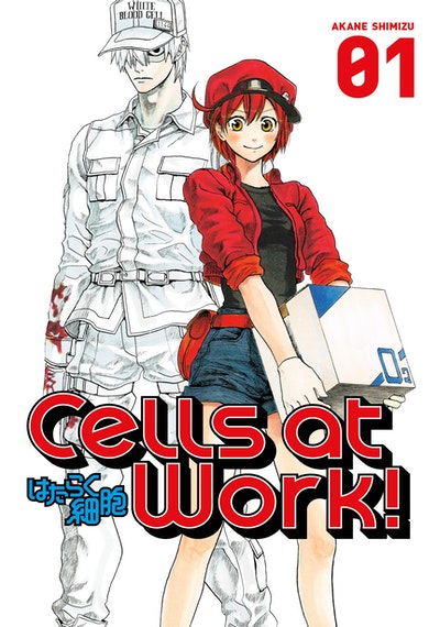 Manga : Cells at Work! 1