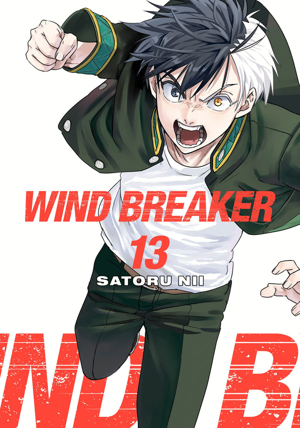 Manga: Wind Breaker 13