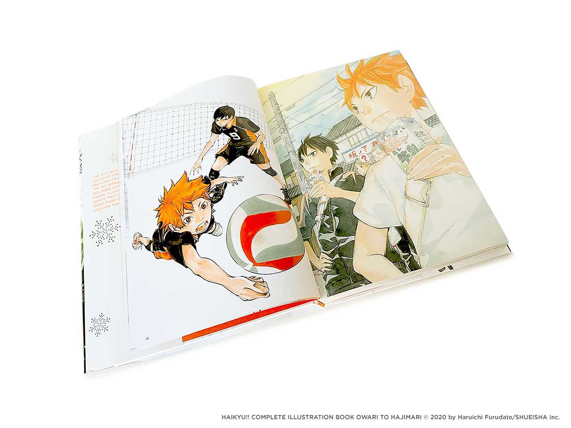 Art Book: The Art of Haikyu!!