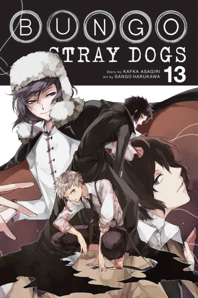 Manga: Bungo Stray Dogs, Vol. 13