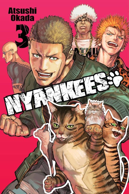 Manga:  Nyankees, Vol. 3