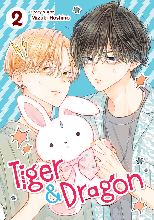 Manga: Tiger and Dragon Vol. 2