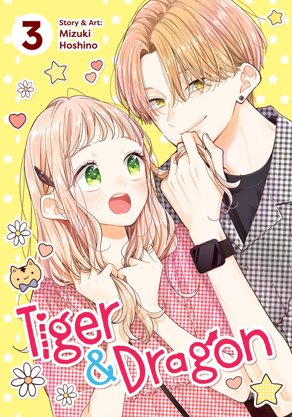 Manga: Tiger and Dragon Vol. 3
