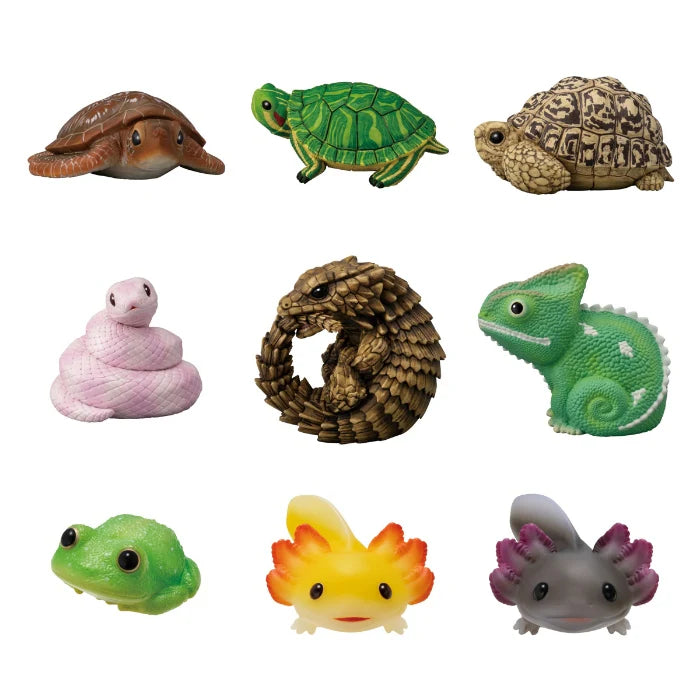 Te-Nori Friends (Vol. 11) Reptiles & Amphibians- Without Gum