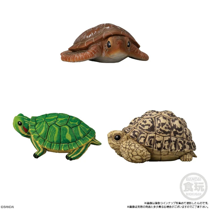 Te-Nori Friends (Vol. 11) Reptiles & Amphibians- Without Gum