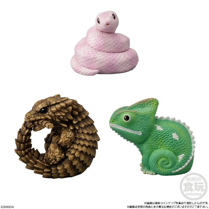 Te-Nori Friends (Vol. 11) Reptiles & Amphibians- Without Gum