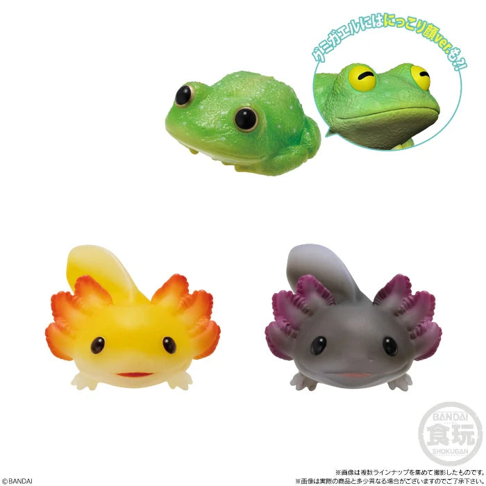 Te-Nori Friends (Vol. 11) Reptiles & Amphibians- Without Gum