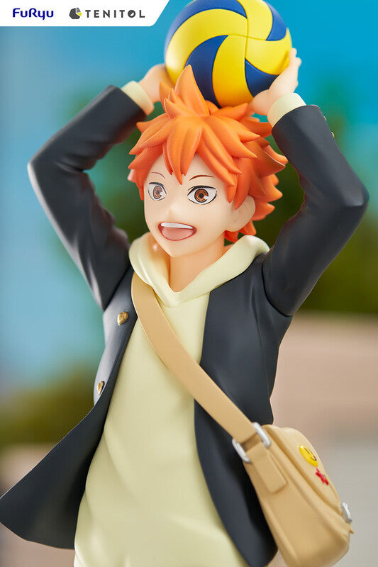 Haikyu!! TENITOL - Hinata Shoyo Figure