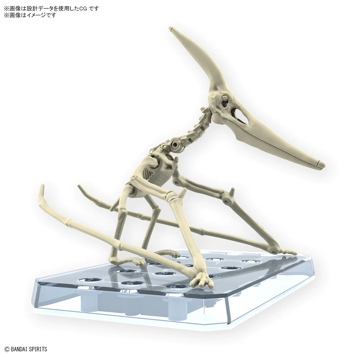 Model Kit: PLANNOSAURUS PTERANODON