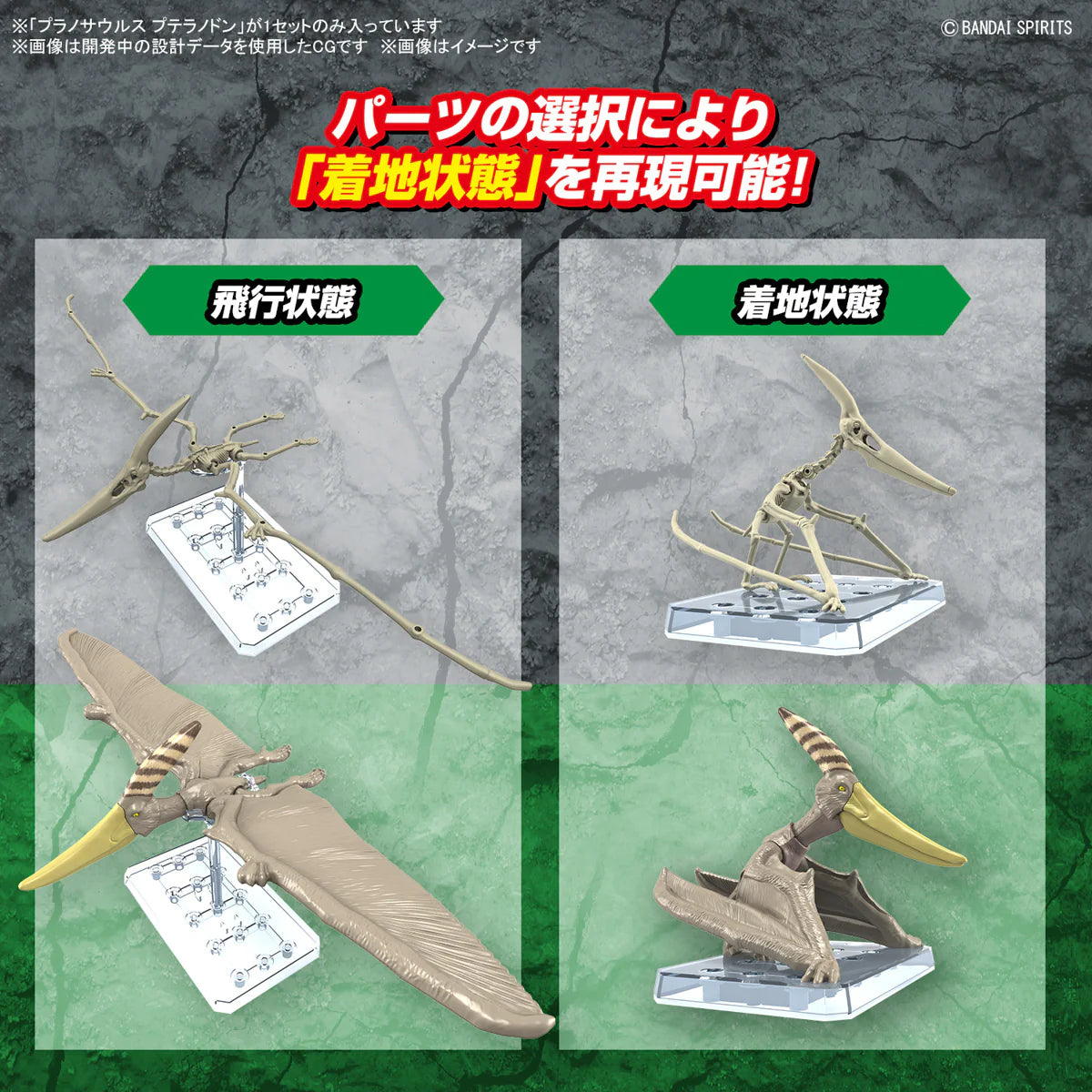 Model Kit: PLANNOSAURUS PTERANODON