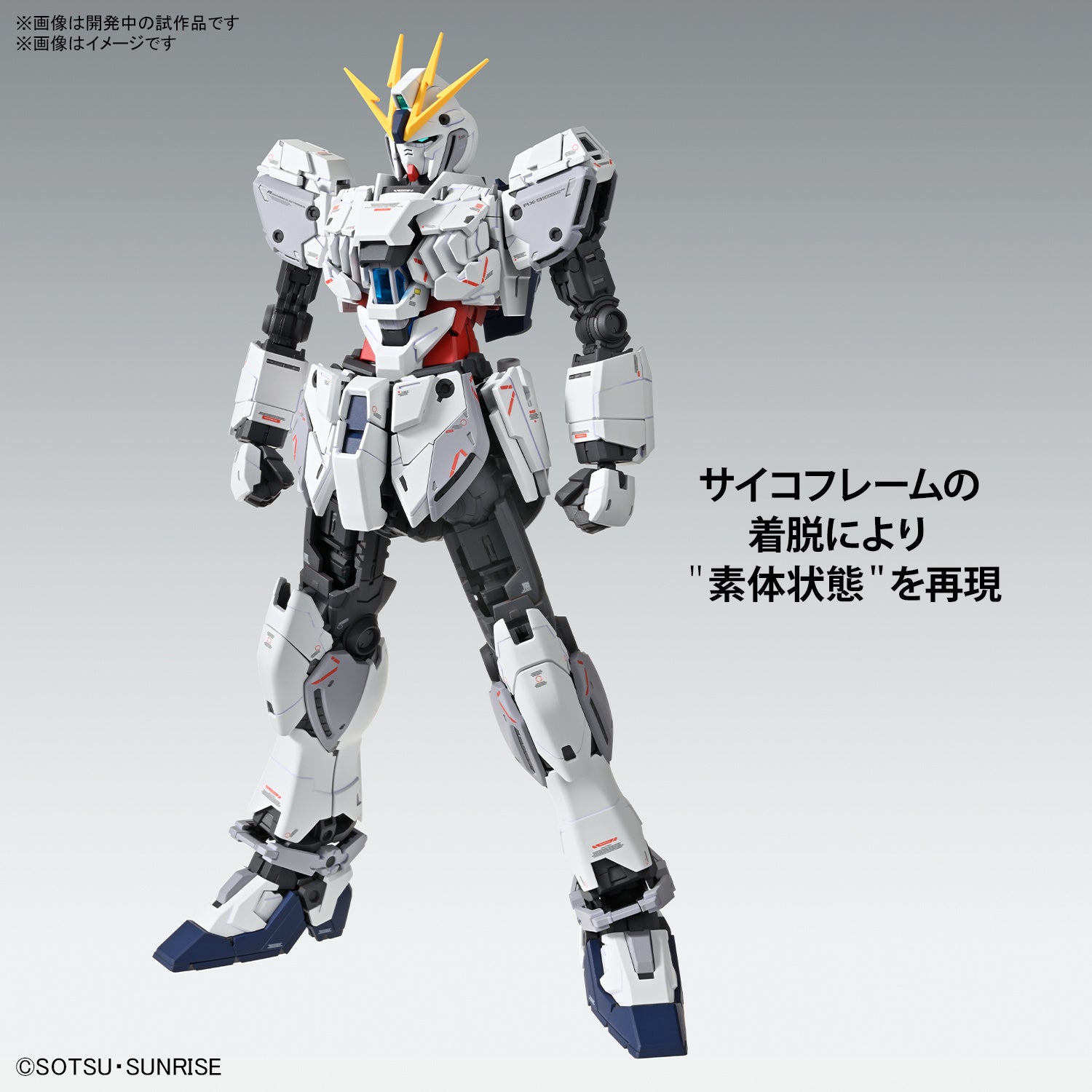 MG 1/100 NARRATIVE GUNDAM C-PACKS VER.KA