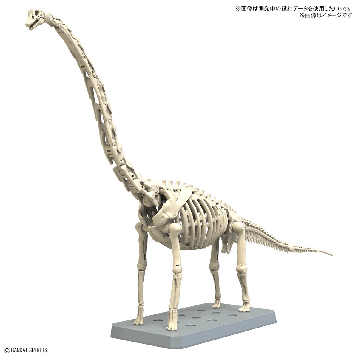 Plannosaurus Brachiosaurus Model Kit