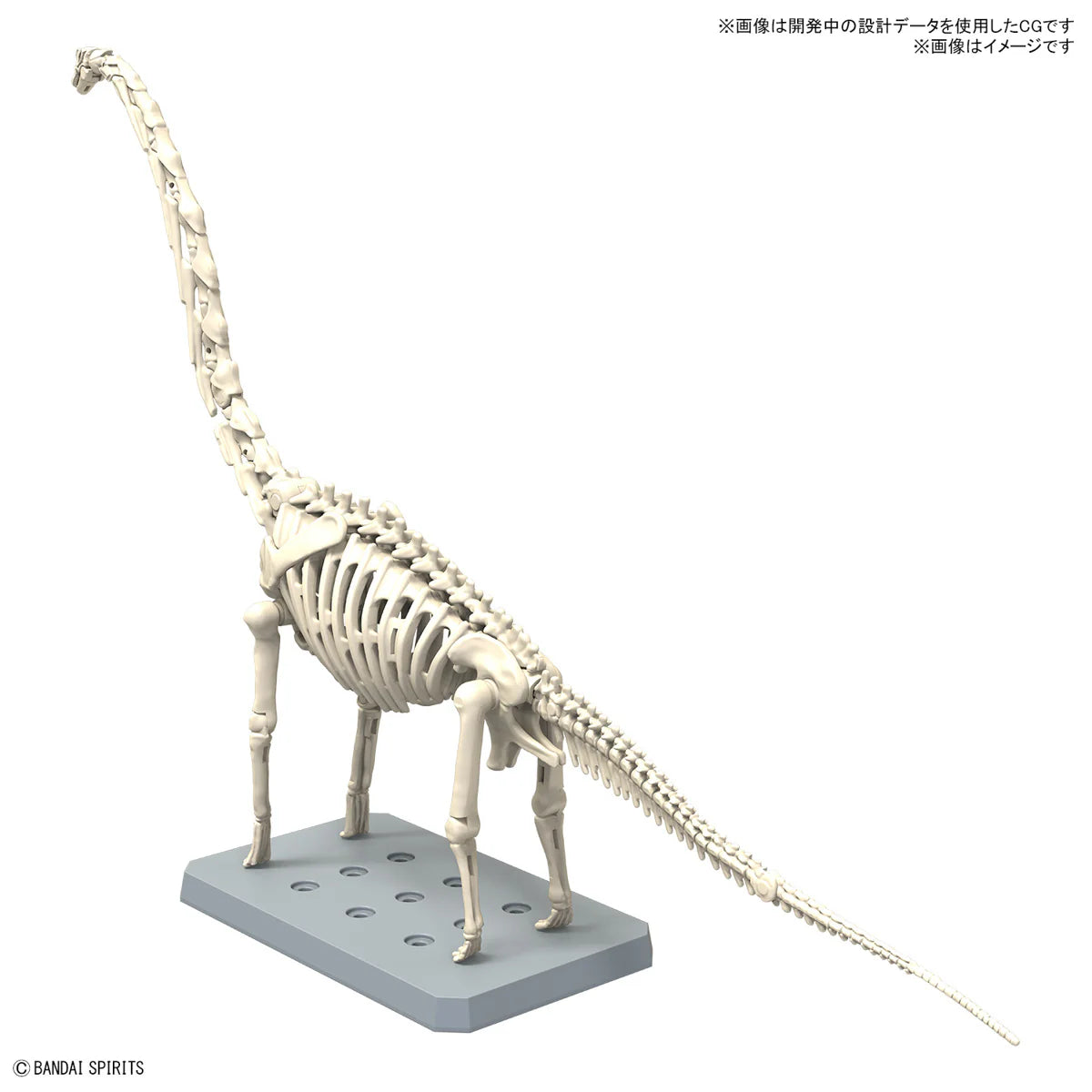 Plannosaurus Brachiosaurus Model Kit