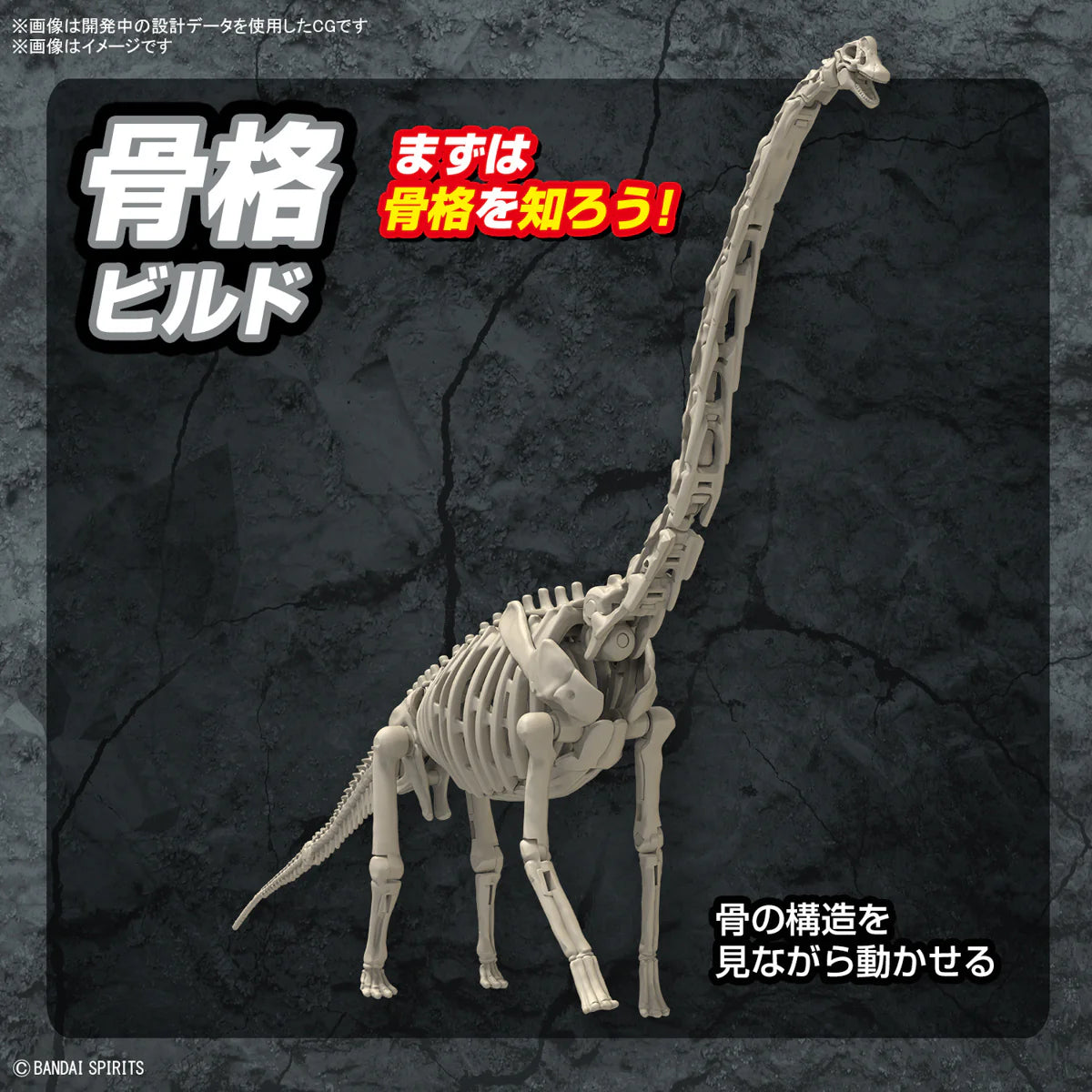 Plannosaurus Brachiosaurus Model Kit