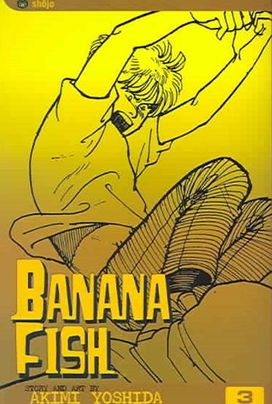 Manga: Banana Fish, Vol. 3