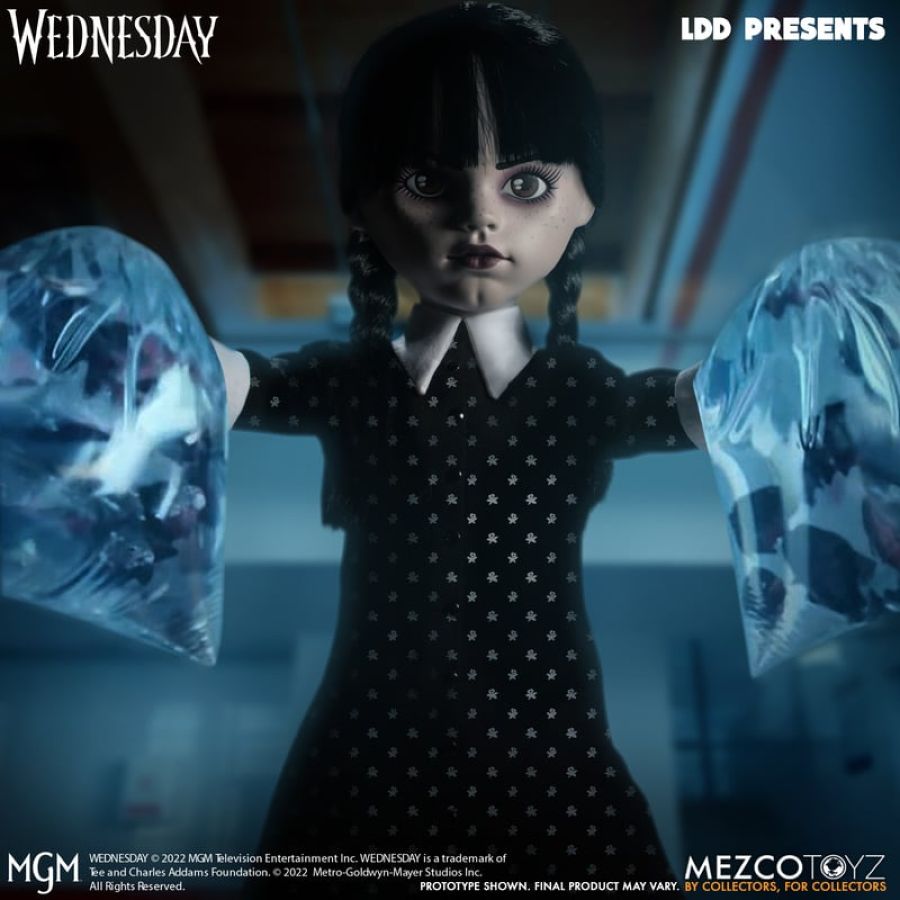 Wednesday: LLD Collectible Doll