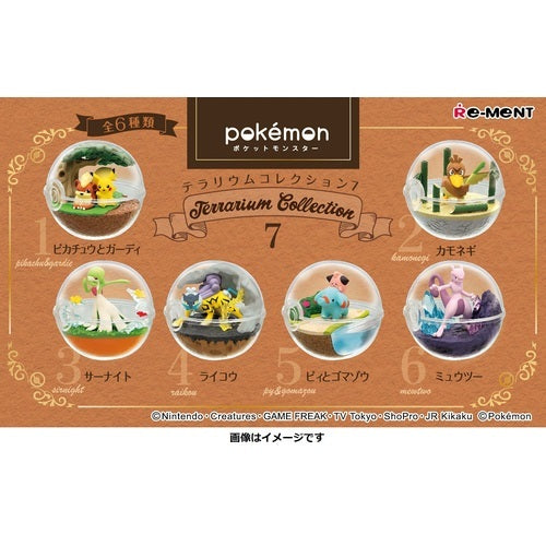 POKEMON Terrarium Collection 7 [Blind Box]