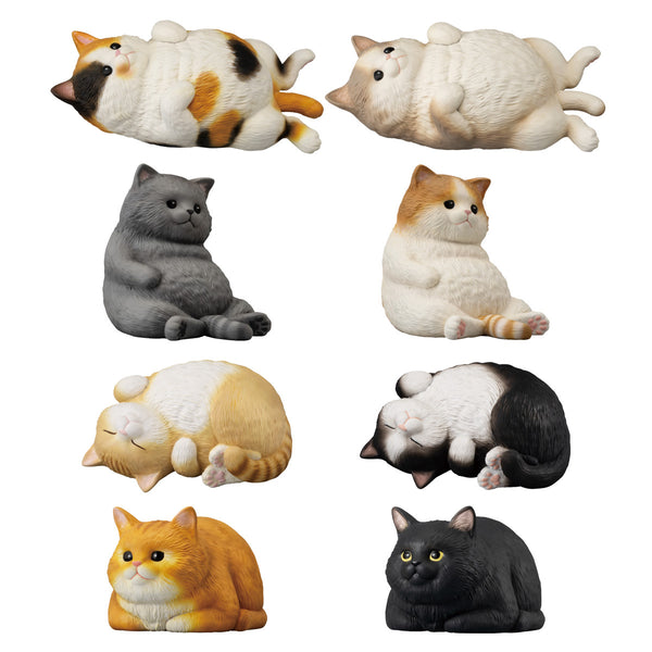 PRE ORDER Mocchiri Kororin: BLIND BOX - Cat