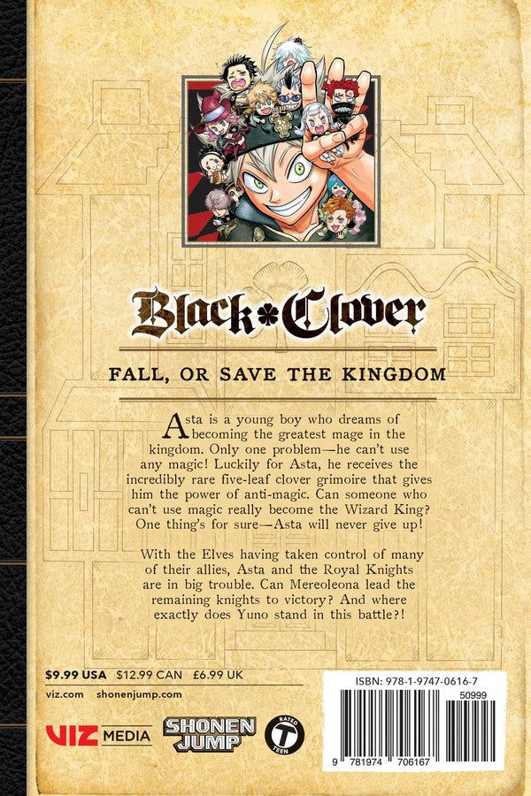 Manga : Black Clover, Vol. 17