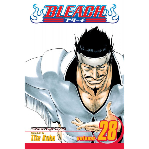 Manga: Bleach : Volume 28