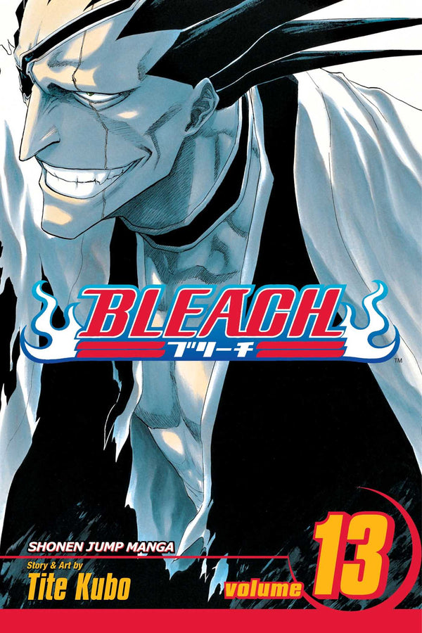 Manga: Bleach : Volume 13