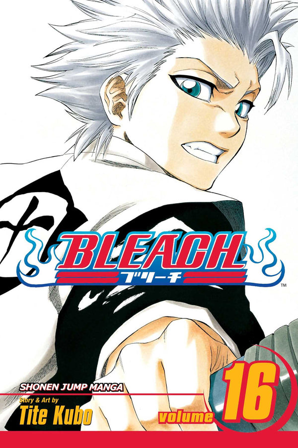 Manga: Bleach : Volume 16