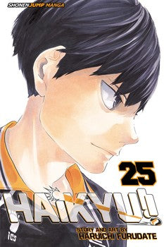 Manga: Haikyu!!, Vol. 25