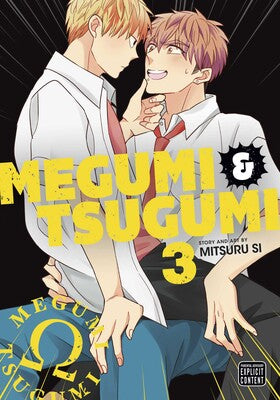 Manga : Megumi & Tsugumi, Vol. 3