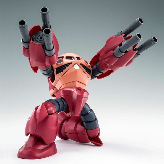 P Bandai HG 1/144 AMAZING Z'GOK