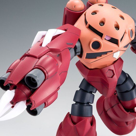 P Bandai HG 1/144 AMAZING Z'GOK