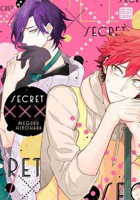 Manga: Secret XXX