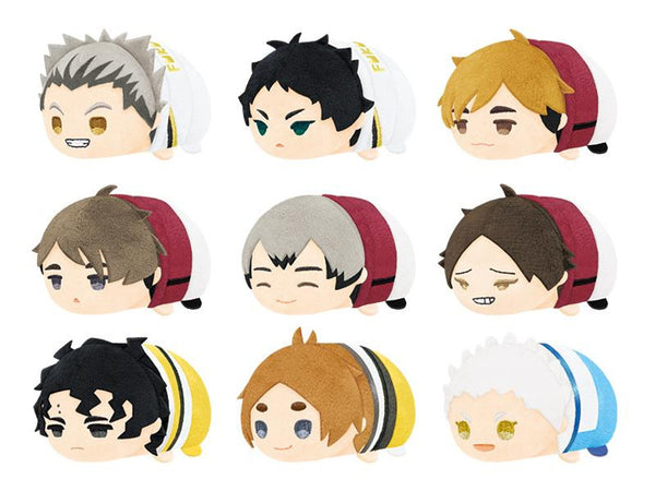 Haikyuu!! Haikyu Mochi mochi mascot vol.5 mini Plush Doll (BLIND BOXES)