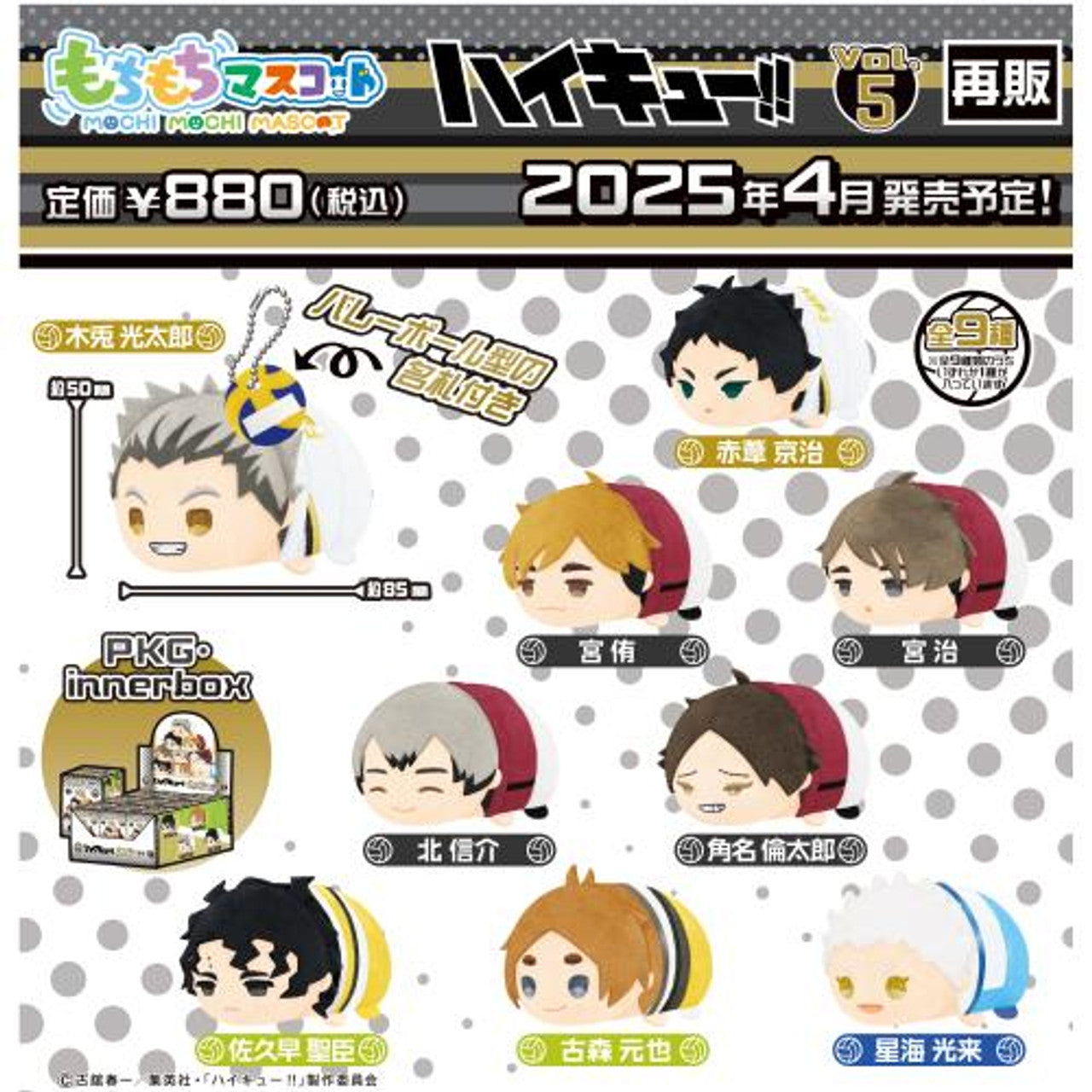 Haikyuu!! Haikyu Mochi mochi mascot vol.5 mini Plush Doll (BLIND BOXES)