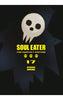 Manga: Soul Eater: The Perfect Edition 17