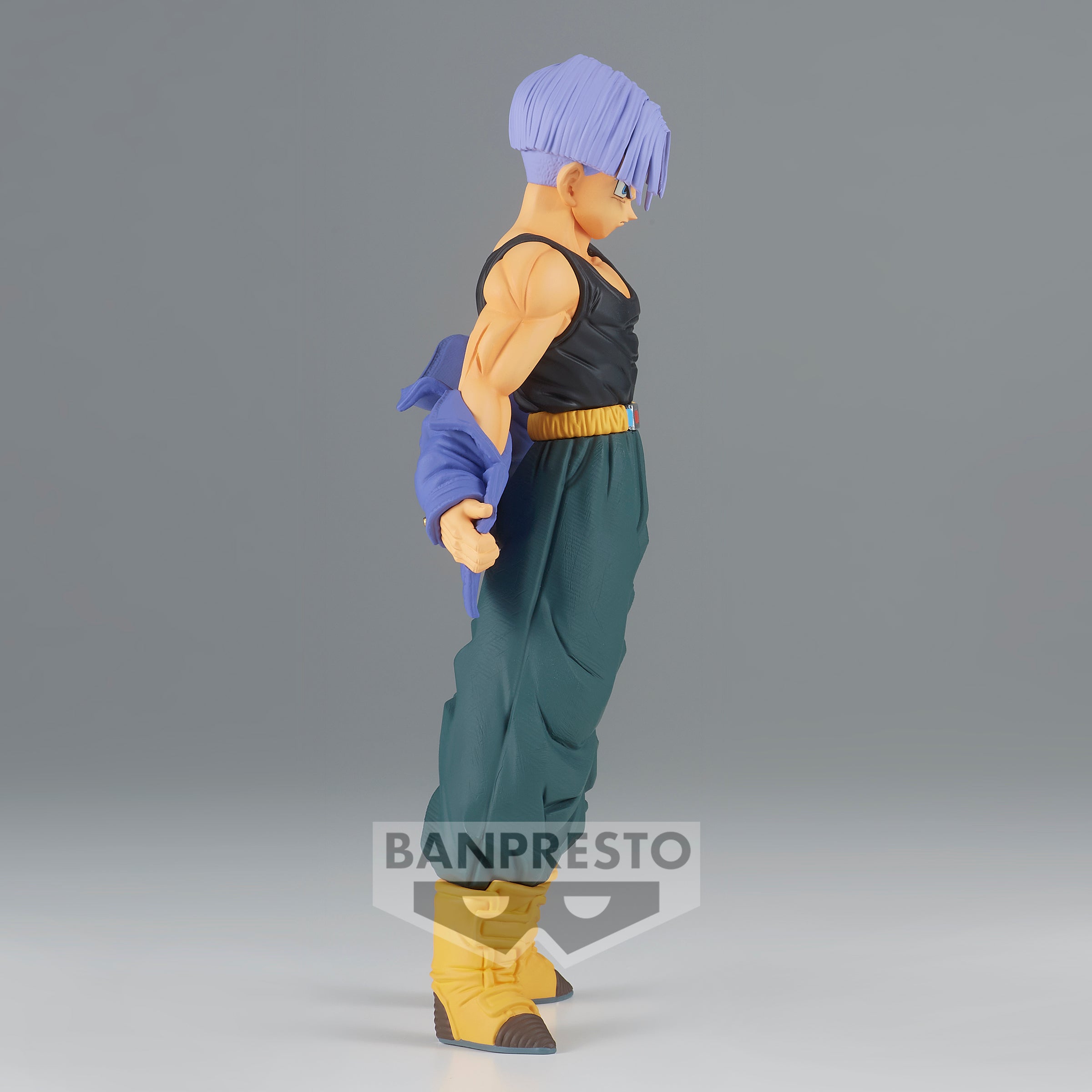 Dragon Ball Z Solid Edge Works Vol.9 (A:Trunks)