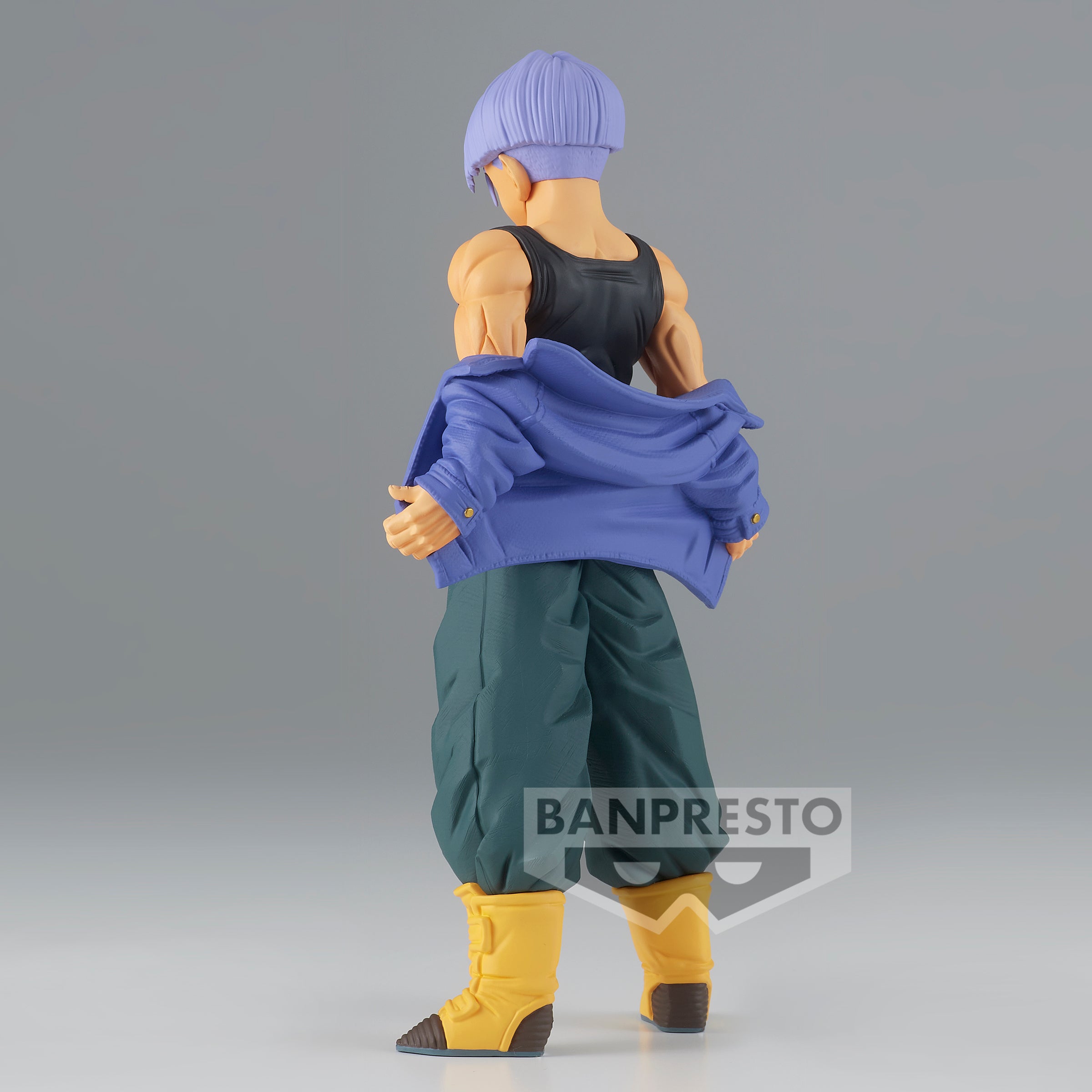 Dragon Ball Z Solid Edge Works Vol.9 (A:Trunks)