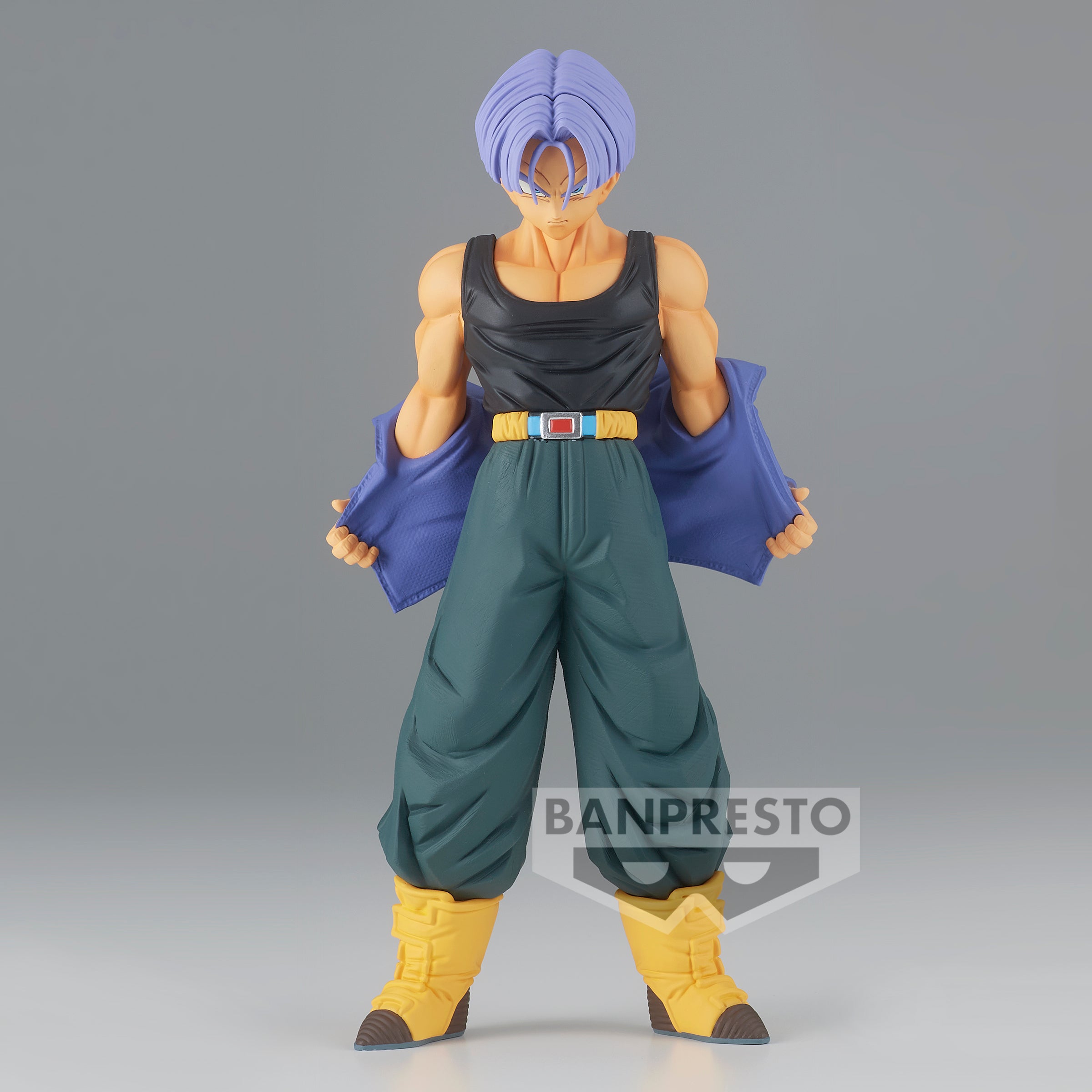 Dragon Ball Z Solid Edge Works Vol.9 (A:Trunks)