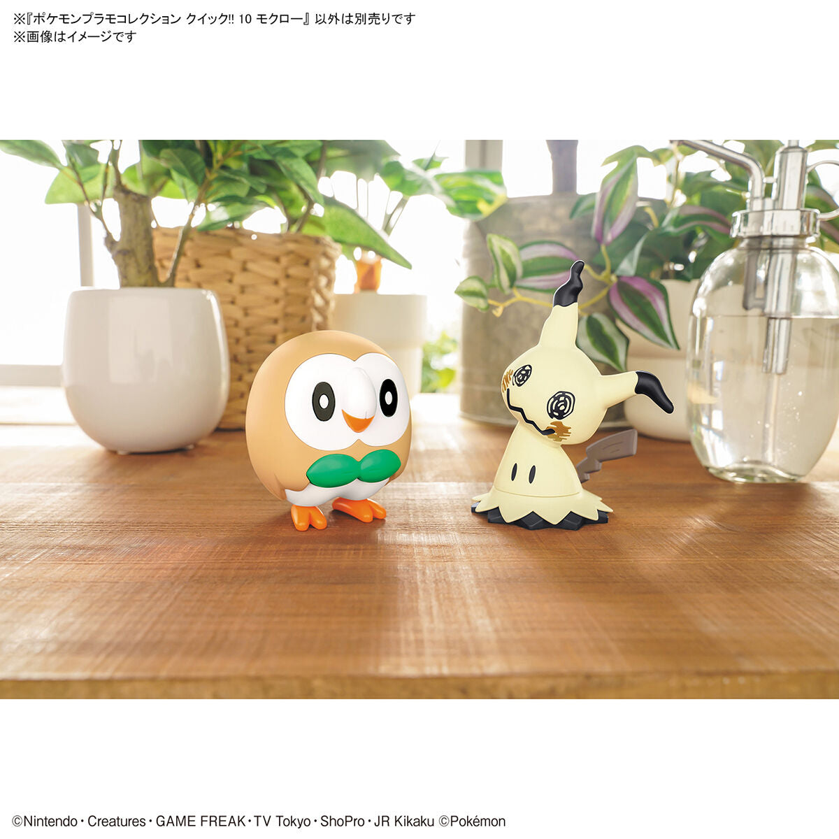 Pokémon Model Kit Quick!! 10 Rowlet