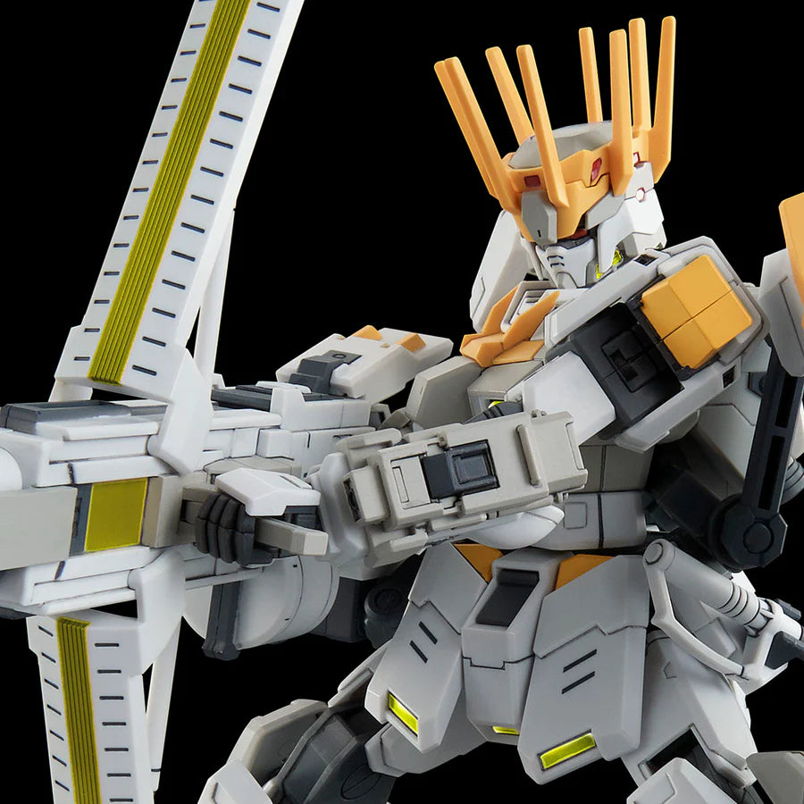 P Bandai 1/144 HG WHITE RIDER