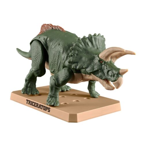 Dinosaur Plastic Model Kit Triceratops