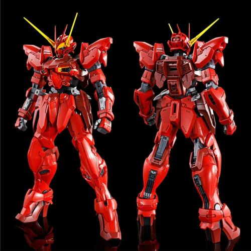 MG 1/100 RGX-00 Testament Gundam Model kit